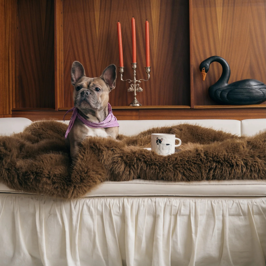 Taza de cerámica blanca con ilustración de un bulldog francés, estilo lifestyle Kolorama.